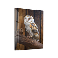 Barn Owl Portrait Metal Wall Art | EMESA ART