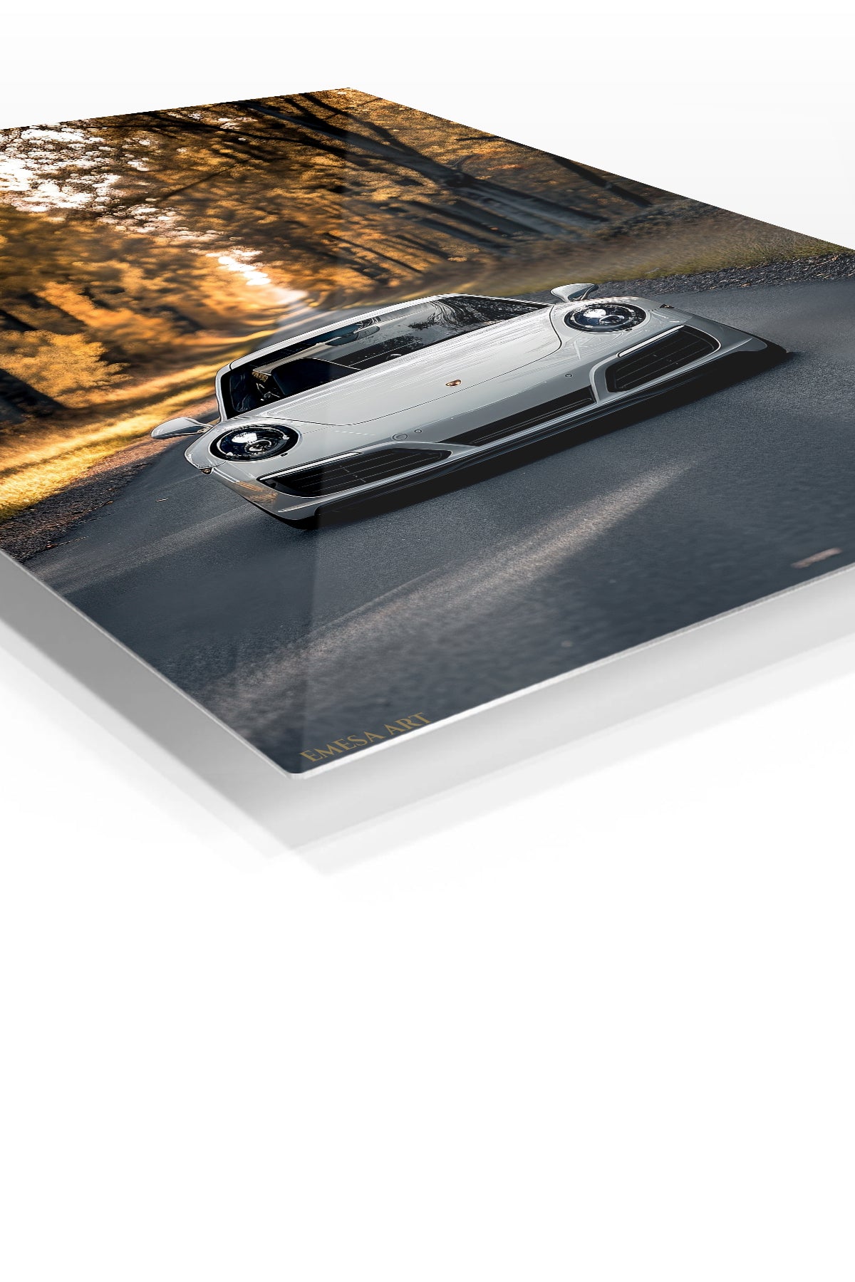 White Porsche 911 Forest Road wall art