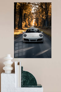 White Porsche 911 Forest Road wall art