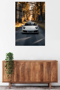 White Porsche 911 Forest Road wall art